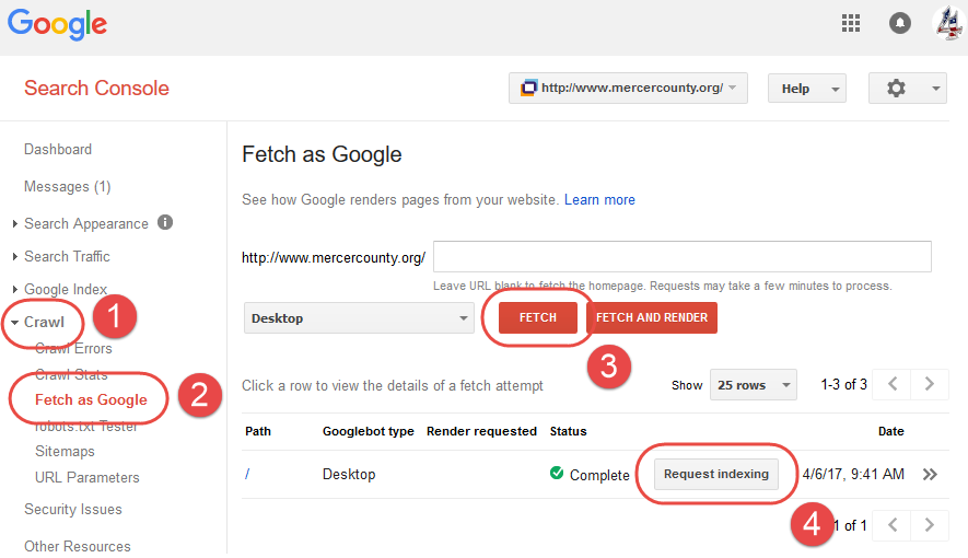 Google Search Console - Fetch